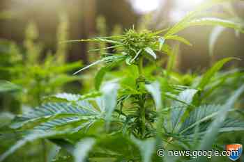 Tijdelijke sluiting bedrijfspand Stekshofweg Weert - MLA Stories