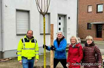Rheinberg: Grüne spenden einen Straßenbaum für Orsoy - Rheinische Post