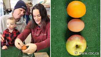 Leamington, Ont., farmers crack the mystery of the giant egg