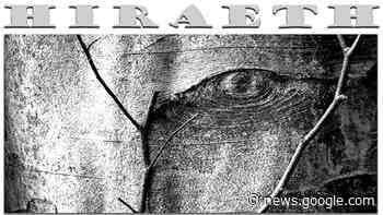 MUSEO FARAGGIANA - Mostra HIRAETH - Comune di Novara