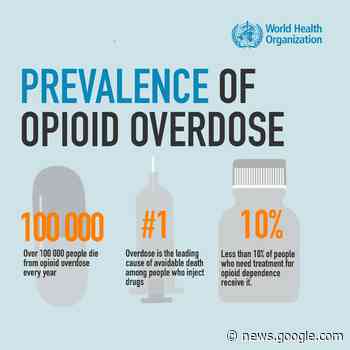 Hamilton explores declaring state of emergency over opioid ... - Two Row Times