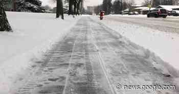 15 to 20 cm of snow expected in Hamilton, Niagara Region on Wednesday and Thursday - Global News