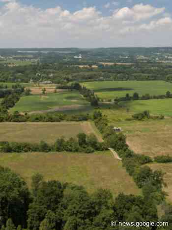 Environmental groups taking provincial government to court over ... - Environmental Defence