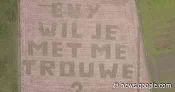 Boer vraagt vriendin ten huwelijk met dronebeelden van ingezaaid ... - Het Laatste Nieuws