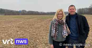 Toby uit Aarschot bezaait veld met huwelijksaanzoek: “Ik wou altijd ... - VRT.be