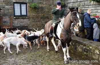 East Cornwall Hunt plans to expand kennels to 48 dogs | cornish ... - The Cornish Times