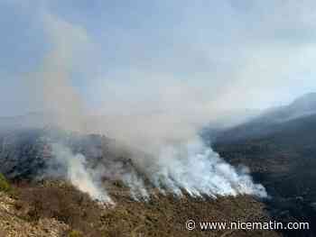 Des opérations de brûlage menées dans les Alpes-Maritimes du 23 au 26 janvier: voici les territoires concernés