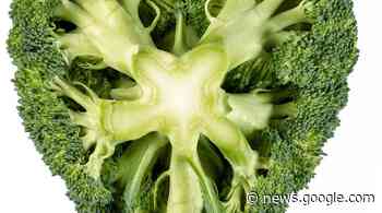 Vegan genießen: Essen auf Rezept - General-Anzeiger Bonn