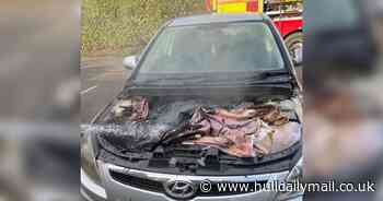Car goes up in flames after driver uses blankets to 'keep battery warm'