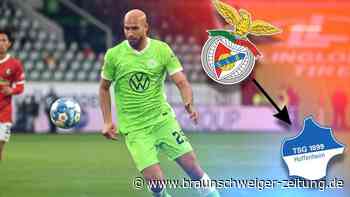 Bundesliga-Rückkehr perfekt: Hoffenheim holt Brooks