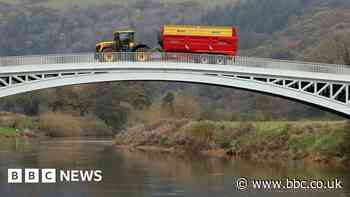 Elms: England green farming subsidies detail unveiled