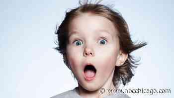 Chicago Museum Exhibit Makes List of 10 Not to Miss in 2023