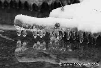 Cold weather and strong winds to hit Lower Mainland