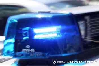Fahrer kommt in Marienfeld von Straße ab