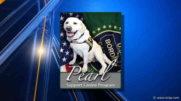 Support canine Pearl enters federal workforce at Border Patrol's Laredo Sector