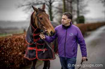 Henry de Bromhead Dublin Racing Festival 2023 stable tour - Racing TV