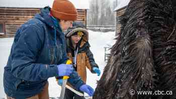 How an Anishinaabemowin camp immerses families in language and culture