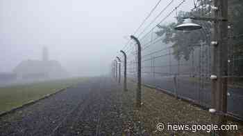 Mythos Holocaust? Viele junge Niederländer zweifeln Verbrechen an - NOZ