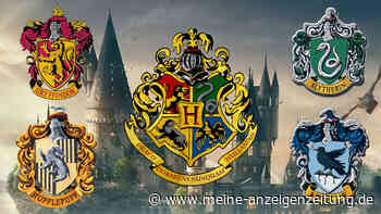 Hogwarts Legacy: Slytherin oder Gryffindor? Der große Haus-Test