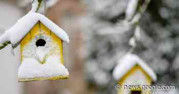 Sinksencomité nodigt uit op winterhappening | Lebbeke | hln.be - Het Laatste Nieuws