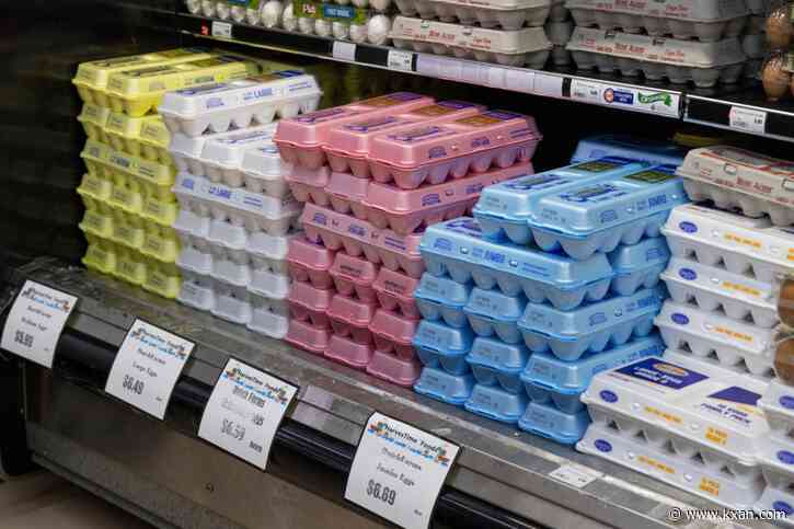 How Austin businesses are navigating the egg shortage