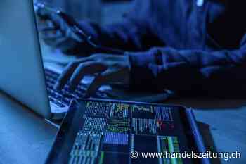 Schlag von deutschen und US-Strafverfolgern gegen Hacker-Gruppe