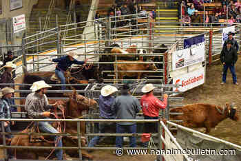 End to 30-year era: No more Williams Lake Indoor Rodeo; organizers cite lack of volunteers