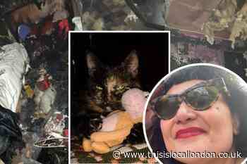 Kentish Town woman mourns cat that saved her from house fire