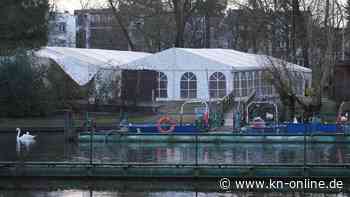 Auch Hamburgs Schwäne von der Geflügelpest betroffen