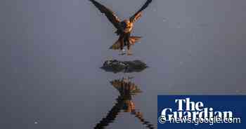 India marks Republic Day and Sydney protests: Thursday's best ... - The Guardian