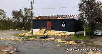 Sydney boxing club fighting to stay alive after Fiona blows roof off ... - Saltwire