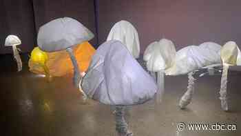 Mushroom-inspired exhibit in Saskatoon captures the strength of humans and the natural world