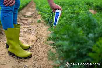 Bodenproben nach Brand in Illingen - keine Schadstoffbelastung ... - die neue welle
