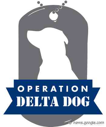 Local Job Listing: Kennel Assistant for Service Dogs- Operation ... - Patch