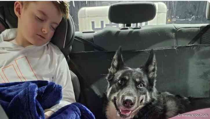 Boy loses companion dog during cross-country trip to Indiana, strangers come to the rescue