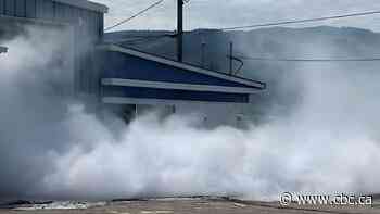 Miscommunication, staffing changes contributed to deadly ammonia leak in Kamloops, B.C.: report