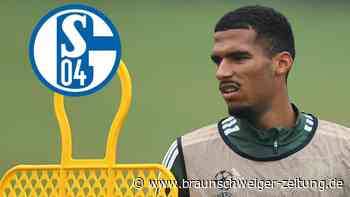 Defensiv-Power für den Klassenerhalt? Schalke verpflichtet Jenz