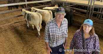 What's driving the cheaper trend as we head into February?