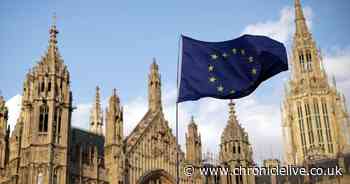 Was the UK right to vote for Brexit? Take our poll and let us know your thoughts