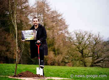 New Strategy Proposes 'Urban Forest For Future Generations' - 4ni.co.uk