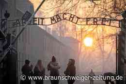 Tiktok und Co.: Holocaust-Gedenken auf Social Media