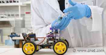 Robots Fitted With Live Locust Antennae Could Be the Next Sniffer Dogs     - CNET