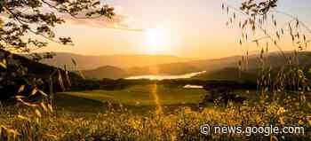 Drei Highlights der Weinregion »Napa Valley« - Falstaff