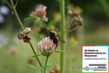 ETN-Projekt erhält Auszeichnung: "Vernetztes Rainland" als ... - Rheinische-Anzeigenblätter.de
