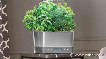 The 5 best indoor gardens of 2023