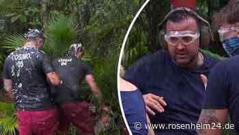 Cosimo tritt Topfpflanze um und entlarvt Dschungelcamp-Kulisse als Fake