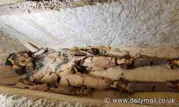 4,300-year-old Egyptian mummy wrapped in gold is thought to be the oldest EVER