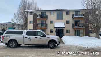 Dozens of cats found in Saskatoon apartment will be euthanized
