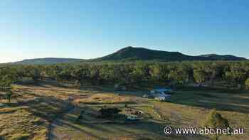 Elders welcome Santos's 'bloody good' offset project, but others say scheme has 'fundamental problems'