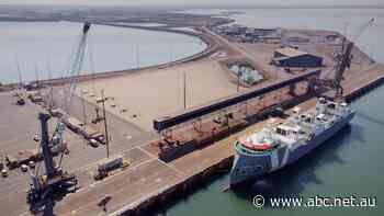 Internal briefing shows government asked Defence, ASIO and others for input into new Darwin Port review